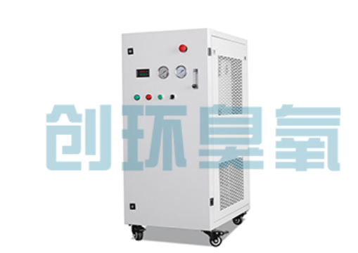 潜江石斑鱼养殖水质调控完整指南：臭氧发生器配置与操作步骤