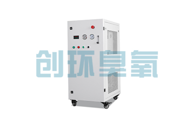 潜江比传统换水更高效？臭氧发生器在石斑鱼养殖中的水质净化原理解析