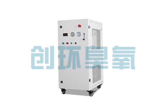 潜江比传统换水更高效?臭氧发生器在石斑鱼养殖中的水质净化原理解析